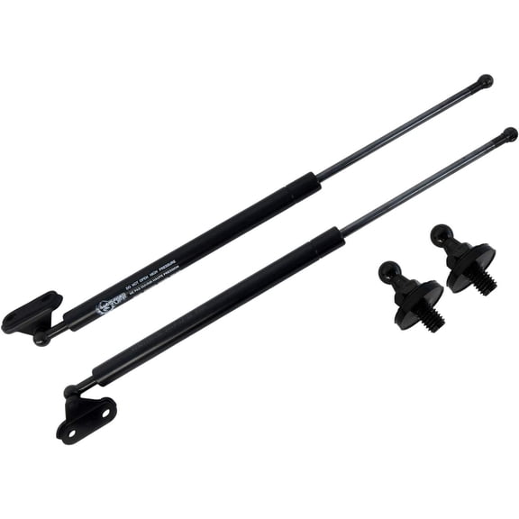 2 Lift Supports Gas Struts Shocks Fits 2003 2004 2005 2006 2007 2008 2009 Toyota 4Runner Rear Tailgate Hatch Trunk Door Gate Back Liftgate D95494 6107 PM1030 Springs Arms Dampers