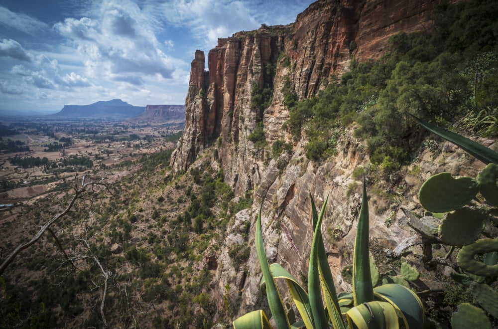 Rugged cliffs and plants on a landscape Tigray Ethiopia Canvas Art - Christopher Roche Design Pics (19 x 12)