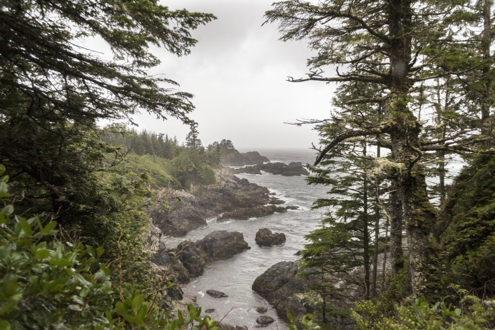 Rugged coastline on Wild Pacific Trail Ucluelet British Columbia Canada Canvas Art - Keith Levit Design Pics (38 x 24)