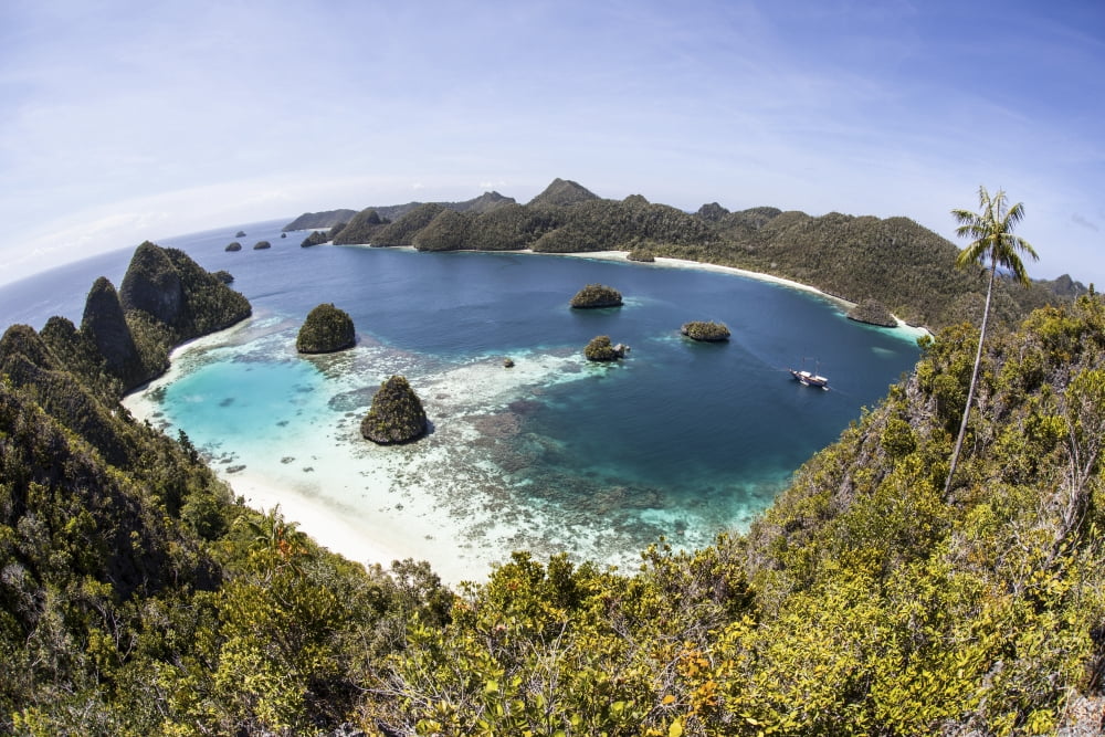 Rugged limestone islands surround a gorgeous lagoon in Raja Ampat Canvas Art - Ethan DanielsStocktrek Images (17 x 12)