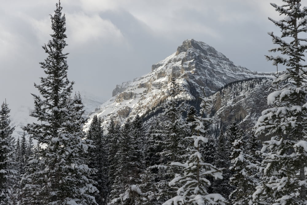 Rugged mountain peak with snow under a cloudy sky Lake Louise Alberta Canada Canvas Art - Keith Levit Design Pics (19 x 12)