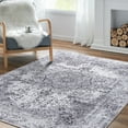 Rugking Area Rug 3x5 Foldable Grey Rug Floral Printed Distressed Carpet Vintage Traditional