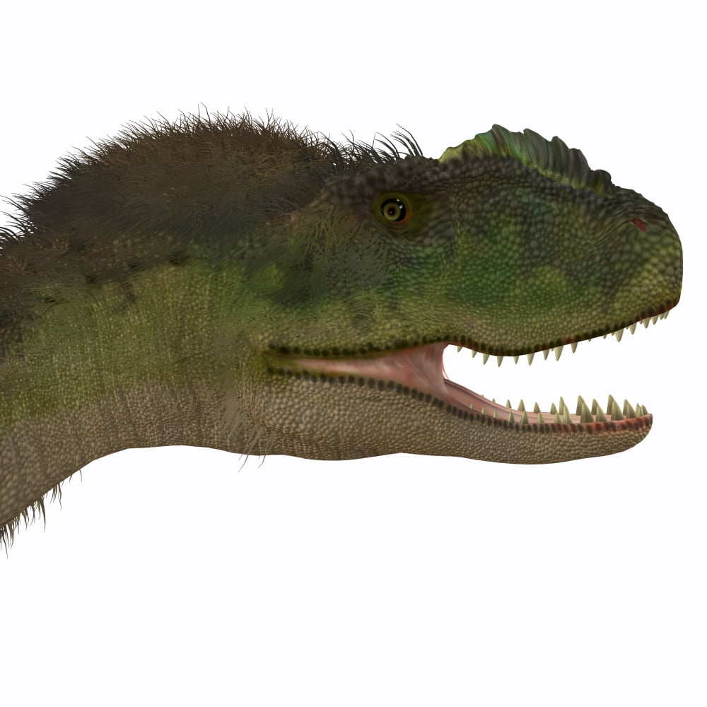 Rugops dinosaur head Canvas Art - Corey FordStocktrek Images (28 x 28)