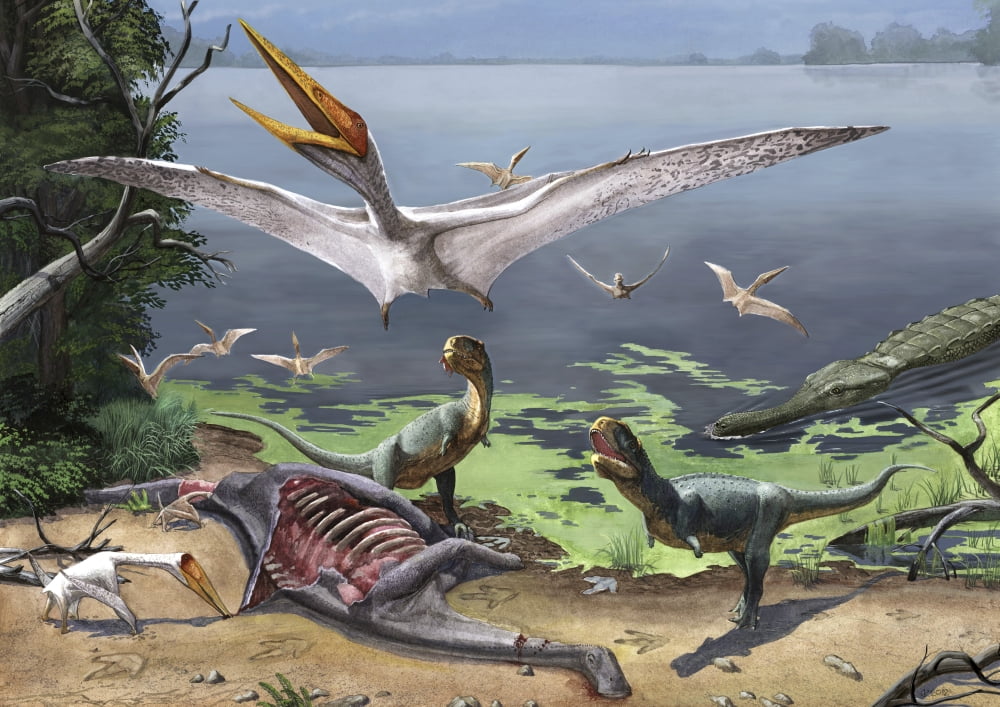 Rugops primus dinosaurs and Alanqa pterosaurs mortify a dead carcass Canvas Art - Sergey KrasovskiyStocktrek Images (34 x 24)