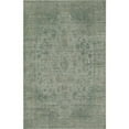 thumbnail image 1 of Rugs America Asteria Collection Green Green AI250A Transitional Floral Area Rug 4' x 6', 1 of 4