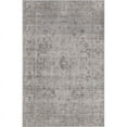 thumbnail image 1 of Rugs America Asteria Collection grey AI250C Transitional Floral Area Rug 2' x 3', 1 of 5