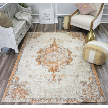 Rugs America Austin Collection Patina AN20A Vintage Transitional Area Rug 8' x 10'
