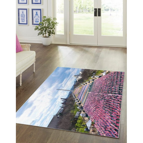 Rugs.com Capitol Collection Rug – 4' x 6' Multi Medium-Pile Rug Perfect For Living Rooms, Kitchens, Entryways