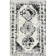 thumbnail image 1 of Rugs.com Tagine Collection Rug – 2' x 3' Black And White Medium-Pile Rug Perfect For Living Rooms, Kitchens, Entryways, 1 of 6