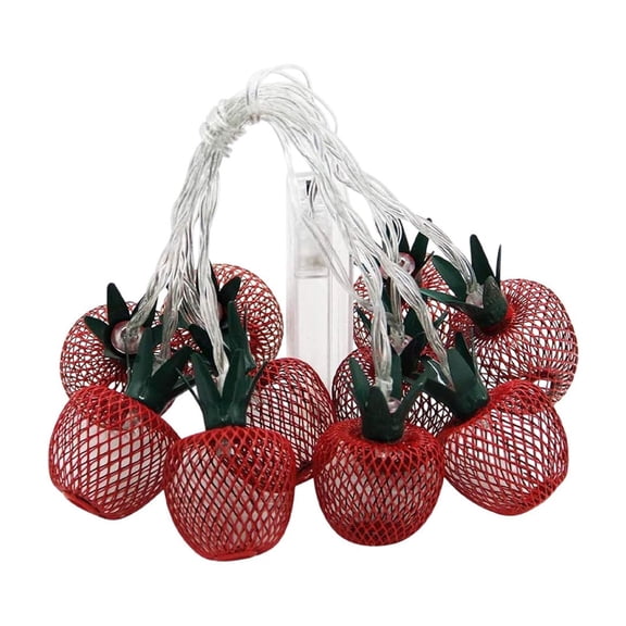 RuiJiao 1.65m Vintage Apple String Lights, 10-Light Iron Grid Garland for Room Decor