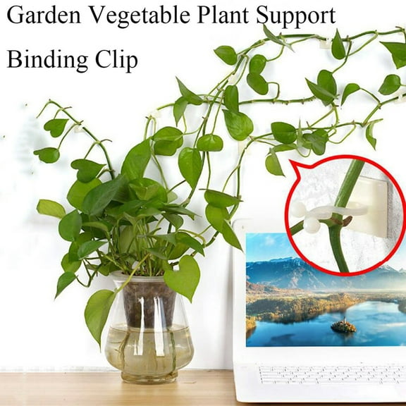 RuiJiao 100PCS Garden Plant Support Clips - Reusable Binding Clips for Vegetables, Greenhouse, and Climbing Plants, Easy to Use, No Damage to Plants