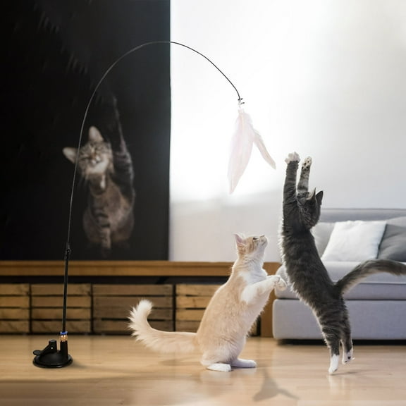 RuiJiao Cat Wand Toys with Suction Cup, Interactive Cat Toy Set,Cat Teaser Cat Toys