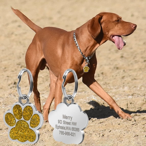 RuiJiao Personalized Pet Tag Dog Tag Tag Alloy Metal Glitter Dog Tag Blank Dog Tag Pendant Engraved Pet Accessory