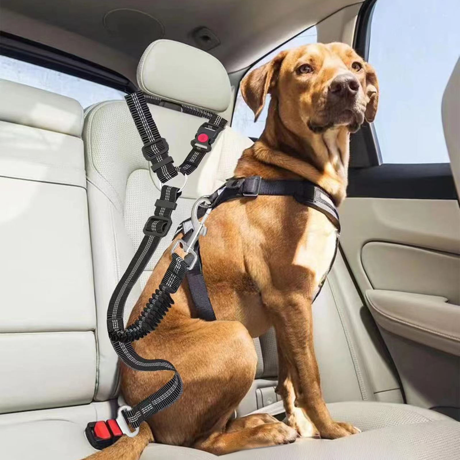 Shark Tank Small Dog Seat Belt Harness Shark Tank Large Dog Seat