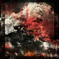 thumbnail image 1 of Ruin Lust - Dissimulant - Music & Performance - CD, 1 of 1
