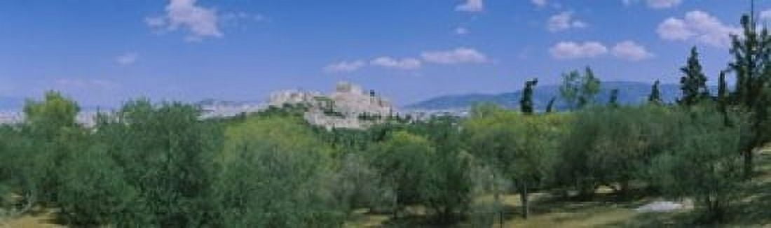 Ruined buildings on a hilltop Acropolis Athens Greece Canvas Art - Panoramic Images (15 x 5)