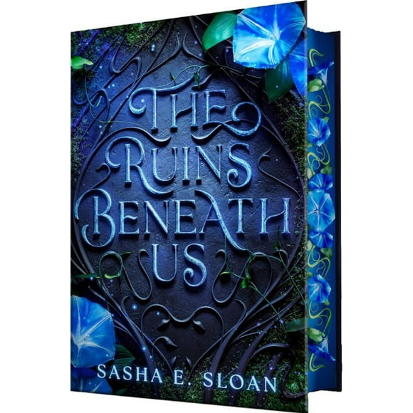 The Ruins Beneath Us (Hardcover)