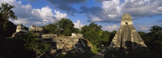 Ruins Of An Old Temple Tikal Guatemala Canvas Art - Panoramic Images (36 x 13)