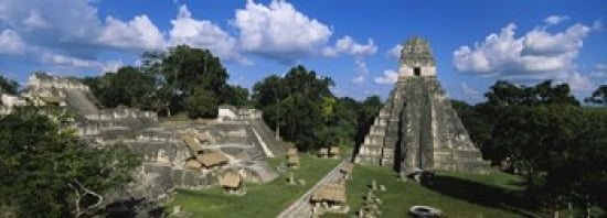 Ruins Of An Old Temple Tikal Guatemala Canvas Art - Panoramic Images (36 x 13)