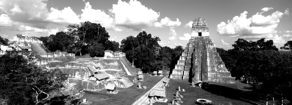 Ruins Of An Old Temple Tikal Guatemala Canvas Art - Panoramic Images (7 x 18)