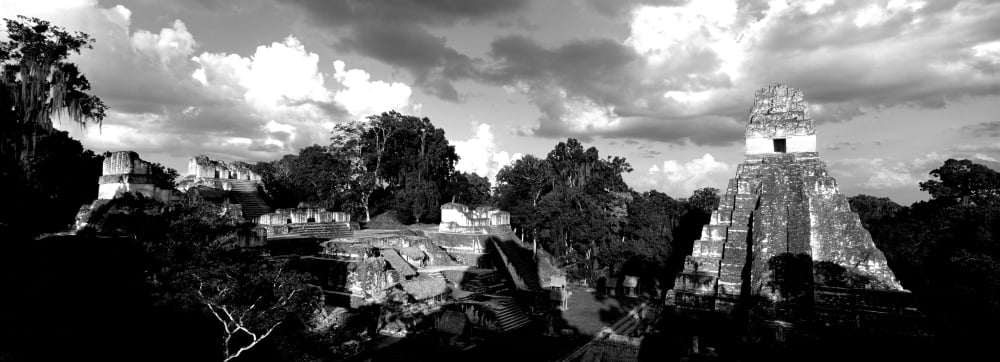 Ruins Of An Old Temple Tikal Guatemala Canvas Art - Panoramic Images (7 x 18)