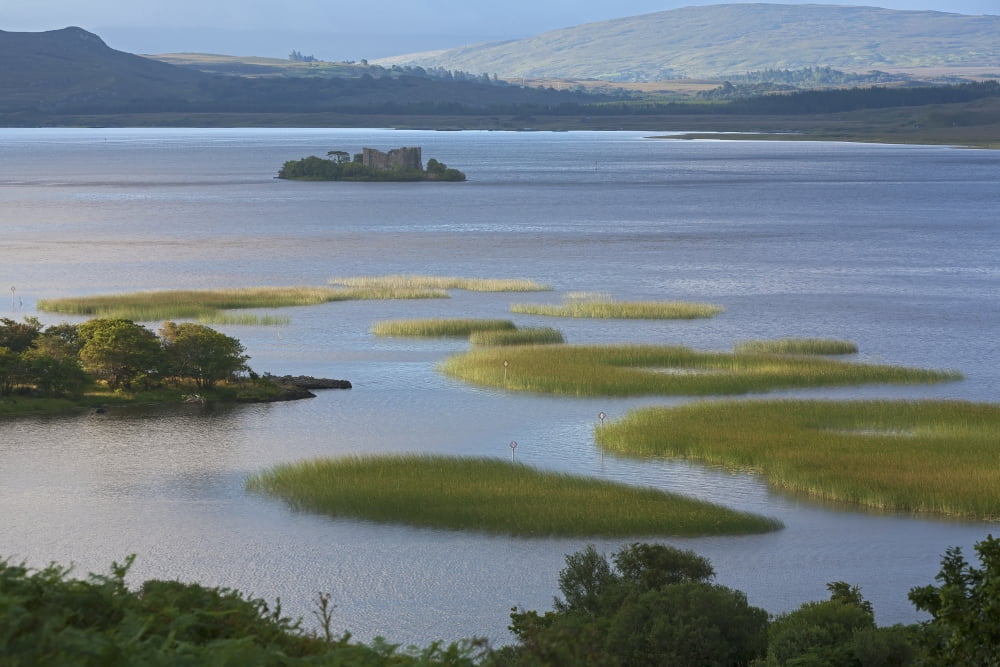 Ruins in Lough Corrib Connemara County Galway Ireland Canvas Art - Carl Bruemmer Design Pics (19 x 12)