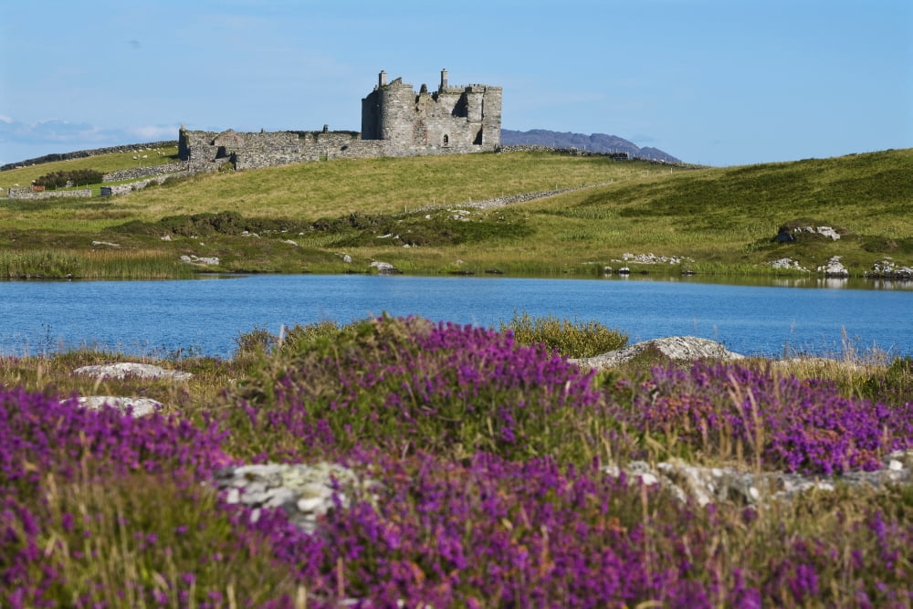 Ruins near Ballyconneely South of Clifden Connemara County Galway Ireland Canvas Art - Carl Bruemmer Design Pics (19 x 12)
