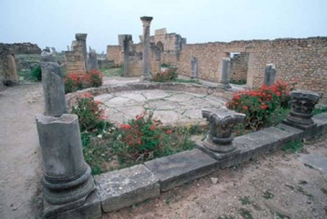 Ruins of Ancient Roman Mansion called House of Columns Morocco Canvas Art - John & Lisa Merrill DanitaDelimont (35 x 24)