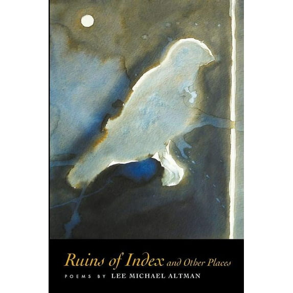 Ruins of Index and Other Places, (Paperback)