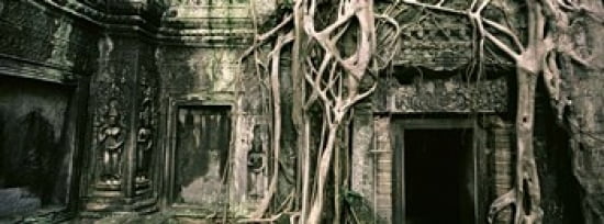 Ruins of Ta Prohm Temple Angkor Cambodia Canvas Art - Panoramic Images (36 x 13)