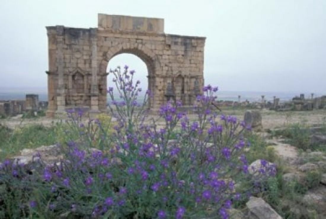 Ruins of Triumphal Arch in Ancient Roman city Morocco Canvas Art - John & Lisa Merrill DanitaDelimont (35 x 24)