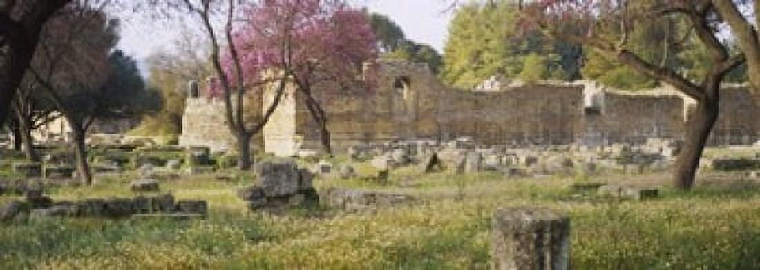 Ruins of a building Ancient Olympia Peloponnese Greece Canvas Art - Panoramic Images (18 x 7)
