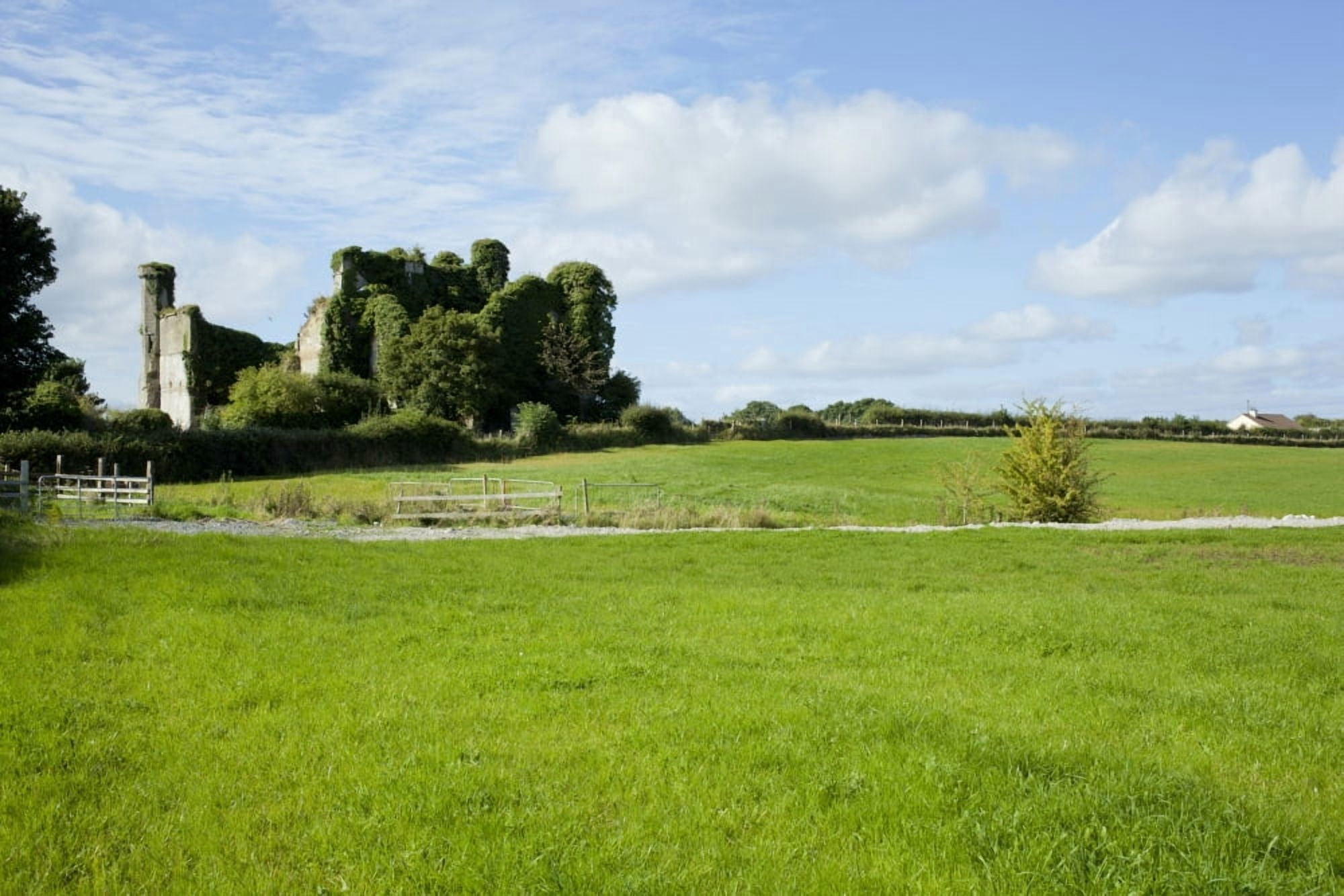 Ruins of a castle Moydrum Castle Athlone Republic of Ireland Canvas Art - Panoramic Images (27 x 9)