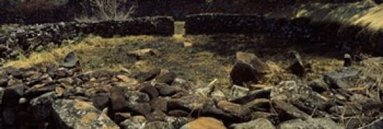 Ruins of a stone wall Thimlich Ohinga Lake Victoria Great Rift Valley Kenya Canvas Art - Panoramic Images (36 x 12)