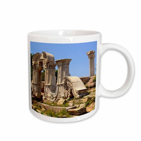 Ruins of the Old Summer Palace, Yuanming Yuan, Beijing, China 11oz Mug mug-257135-1