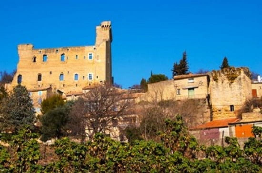 Ruins of the Popes Summer Castle in Chateauneuf-du-Pape Canvas Art - Per Karlsson DanitaDelimont (36 x 24)