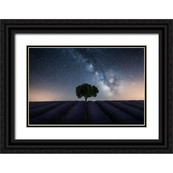 Ruiz Dueso, Jorge 14x11 Black Ornate Wood Framed with Double Matting Museum Art Print Titled - Tree And Milky Way