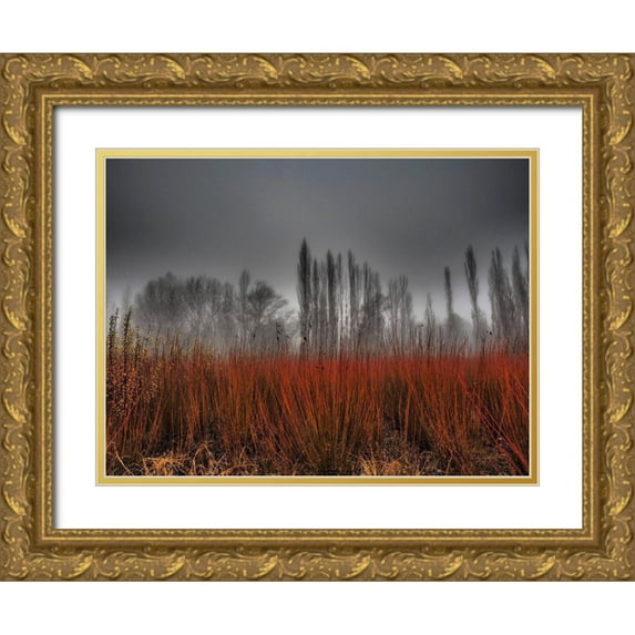 Ruiz Rivas, Ja 32x25 Gold Ornate Wood Framed with Double Matting Museum Art Print Titled - Untitled