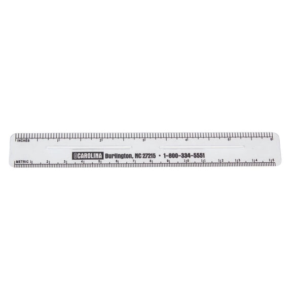Ruler, Transparent Vinyl, Pack Of 12