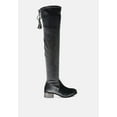 thumbnail image 1 of Rumple Velvet Over The Knee Clear Heel Boots, 1 of 11
