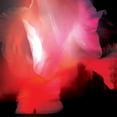 thumbnail image 1 of Rumskib - Rumskib - Red - Music & Performance - Vinyl, 1 of 1
