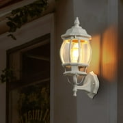 Run Bison 16.5 in. White 1-Light Outdoor Wall Lamp with Clear Beveled Glass Shade