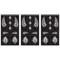 thumbnail image 1 of "Run 'N' Etch Designer Stencils 5""X8"" 3/Pkg-Fern Designs", 1 of 5