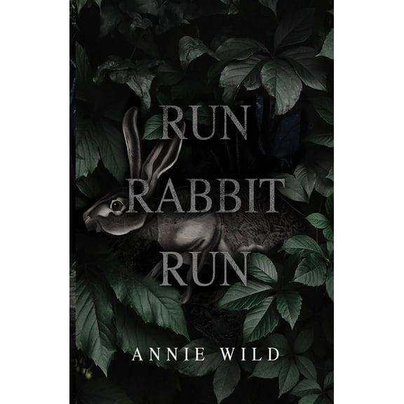 Run Rabbit Run: A Dark Stalker Romance, (Paperback)