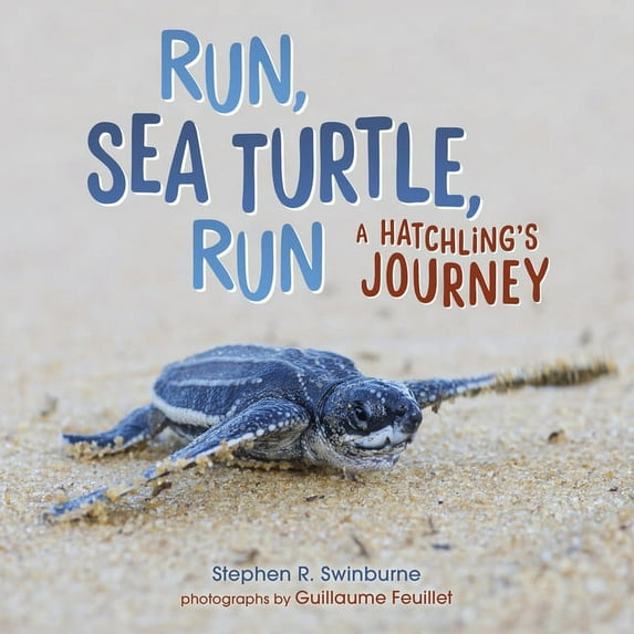 Run, Sea Turtle, Run: A Hatchling's Journey, (Hardcover)