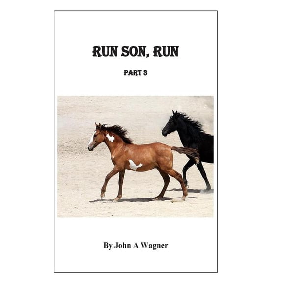 Run Son, Run Run Son, Run Part 3, Book 3, (Paperback)
