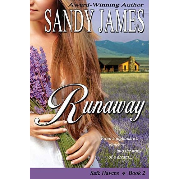 Runaway Safe Havens Paperback Sandy James
