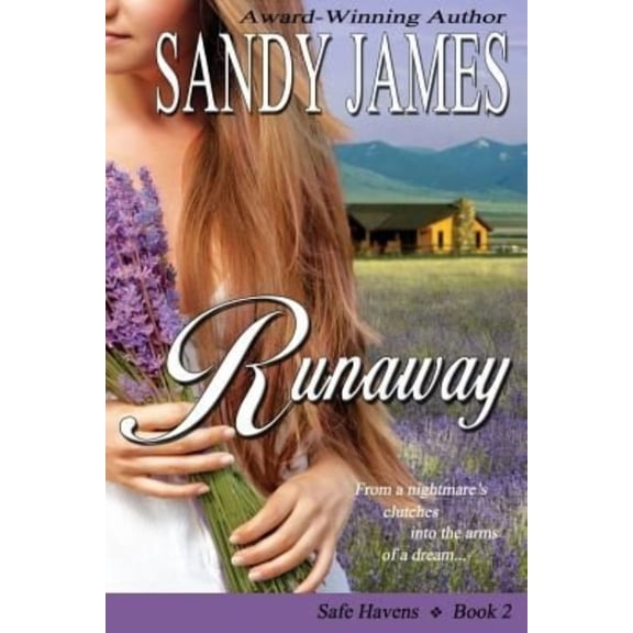Safe Havens: Runaway (Series #2) (Paperback)