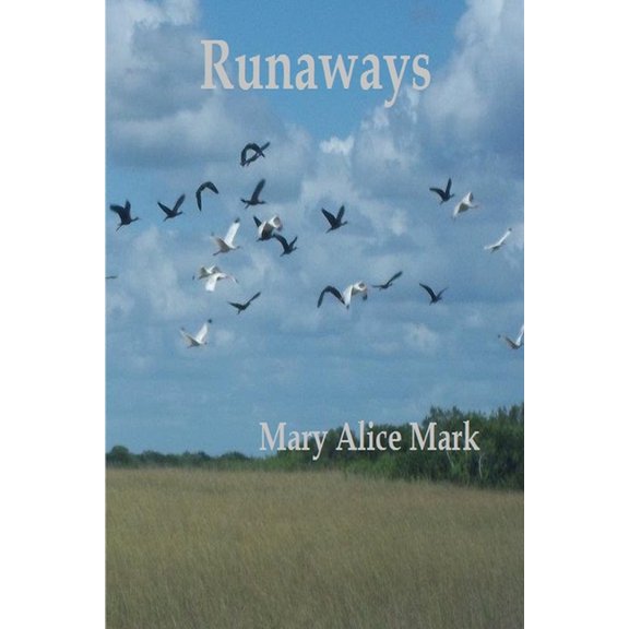 Runaways, (Paperback)