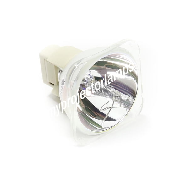 Runco Light Style LS-1 Bare Projector Lamp